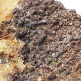Quartz, limonite after Hematite (variety iron rose)<br />Möseralm, Fiss, Landeck District, North Tyrol, Tyrol/Tirol, Austria<br />6,5 x 4,5 cm<br /> (Author: Volkmar Stingl)