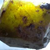 Andradite-Grossular Series<br />Sibinndi, Commune Diakon, Arrondissement Diakon, Bafoulabé Circle, Kayes Region, Mali<br />75 x 72 mm<br /> (Author: Sante Celiberti)