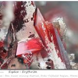 Erythrite<br />Bou Azzer mining district, Drâa-Tafilalet Region, Morocco<br />fov 4.7 mm<br /> (Author: ploum)