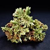 Pyromorphite<br />Guangxi Zhuang Autonomous Region, China<br />46 mm x 36 mm x  33 mm<br /> (Author: Don Lum)