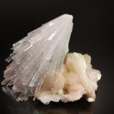 ScoleciteDistrito Nashik (Nasik), Maharashtra, India8.1 x 6.5 x 5.2 cm (Author: Michael Shaw)