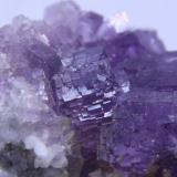 Fluorite and Quartz<br />Berbes mining area, Berbes, Ribadesella, Comarca Oriente, Principality of Asturias (Asturias), Spain<br />Detail<br /> (Author: Firmo Espinar)