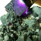 Galena, Fluorite, Sphalerite<br />Denton Mine, Goose Creek Mine group, Harris Creek Sub-District, Hardin County, Illinois, USA<br />92 x 90 mm<br /> (Author: Sante Celiberti)