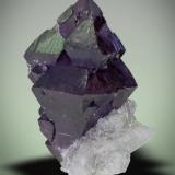 Description: Scheelite, ( Purple DT ) on Quartz
Yaogangxian Mine, Chenzhou, Yizhang Co., Hunan, China.
6.3 x 9.8 x 7.3 cm
Stuart Wilensky photo (Author: Gail)