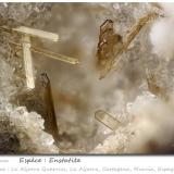 EnstatiteCanteras de La Aljorra, Cerro de la Cabezuela (Volcán de la Aljorra), La Aljorra, Cartagena, Comarca Campo de Cartagena, Región de Murcia (Murcia), Españafov 3.1 mm (Author: ploum)