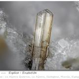 EnstatiteCanteras de La Aljorra, Cerro de la Cabezuela (Volcán de la Aljorra), La Aljorra, Cartagena, Comarca Campo de Cartagena, Región de Murcia (Murcia), Españafov 1.56 mm (Author: ploum)