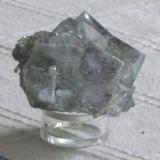 fluorite included.jpg (Author: Tracy)