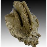 Siderite, Fluorapatite, Quartz, Arsenopyrite, PyriteMinas da Panasqueira, Aldeia de São Francisco de Assis, Covilhã, Castelo Branco, Cova da Beira, Centro, Portugal14 cm x 11 cm x 8 cm (Author: silvia)
