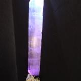 Spodumene (variety kunzite), Quartz (variety smoky), Albite<br />Dara-I-Pech District (Pech District), Kunar Province (Konar), Afghanistan<br />25,5 x 3,5 cm<br /> (Author: Sante Celiberti)