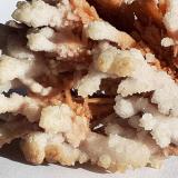 Calcite on Aragonite<br />Lavrion Mining District, Attikí (Attica) Prefecture, Greece<br />9 x 7 cm<br /> (Author: Volkmar Stingl)
