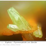 Pyromorphite<br />Mas Dieu, Mercoirol, Alès, Gard, Occitanie, France<br />fov 1.17 mm<br /> (Author: ploum)