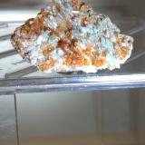 Grossularia (variedad hessonita), Diopsido<br />Bellecombe, Châtillon, Valle de Aosta (Val d'Aosta), Italia<br />38 x 25 mm<br /> (Autor: Sante Celiberti)