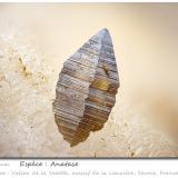 Anatase<br />Vallon de la Valette, La Lauzière Massif, Saint-Jean-de-Maurienne, Savoie, Auvergne-Rhône-Alpes, France<br />fov 4.5 mm<br /> (Author: ploum)