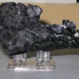 Fluorite on schorl.jpg (Author: Tracy)