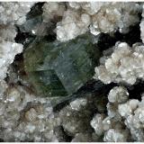 Fluorapatite, MuscoviteMinas da Panasqueira, Aldeia de São Francisco de Assis, Covilhã, Castelo Branco, Cova da Beira, Centro, Portugal11 cm x 6 cm x 5 cm (Author: silvia)