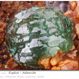 Adamite<br />Hilarion Mine, Hilarion area, Kamariza Mines, Agios Konstantinos, Lavrion Mining District, Attikí (Attica) Prefecture, Greece<br />fov 1.50 mm<br /> (Author: ploum)