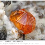 SpessartineWushan Spessartine prospects, Tongbei, Yunxiao, Zhangzhou Prefecture, Fujian Province, Chinafov 6.2 mm (Author: ploum)