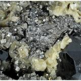 Cassiterite, Pyrite, Arsenopyrite, Siderite<br />Minas da Panasqueira, Aldeia de São Francisco de Assis, Covilhã, Castelo Branco, Cova da Beira, Centro, Portugal<br />6 cm x 4 cm x 4 cm<br /> (Author: silvia)