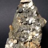 Arsenopyrite, Quartz<br />Trepča Complex, Trepča Valley, Kosovska Mitrovica, Kosovska Mitrovica District, Kosovo<br />11,5 x 8 cm<br /> (Author: Sante Celiberti)