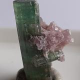 Elbaite, 'lepidolite'<br />Minas Gerais, Brazil<br />2 cm<br /> (Author: Volkmar Stingl)