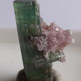 Elbaite, 'lepidolite'Minas Gerais, Brazil2 cm (Author: Volkmar Stingl)