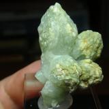 Cuarzo (variedad prasio)<br />Distrito Montepuez, Provincia Cabo Delgado, Mozambique<br />25x40 mm<br /> (Autor: Ignacio)