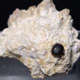 glauconita<br />Terruggia, Provincia Alessandria, Piamonte (Piemonte), Italia<br />52 x 42 mm<br /> (Autor: Sante Celiberti)
