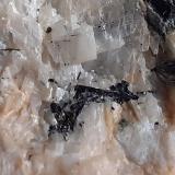 Schorl (Tourmaline Group)Rifflkees, Valle Stubach, Distrito Zell am See, Salzburgo/Salzburg, Austria8,5 x 7 cm (Author: Volkmar Stingl)