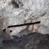 Schorl (Tourmaline Group)Rifflkees, Valle Stubach, Distrito Zell am See, Salzburgo/Salzburg, Austria8,5 x 7 cm (Author: Volkmar Stingl)