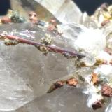 Quartz, Rutile, Muscovite<br />Ticino (Tessin), Switzerland<br />67 x 44 mm<br /> (Author: Sante Celiberti)