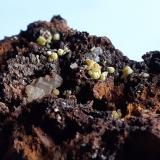 Mimetite, CalciteMina Ojuela, Mapimí, Municipio Mapimí, Durango, México7 x 4,5 cm (Author: Volkmar Stingl)