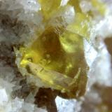 Sulphur with Calcite<br />La Grasta Mine, Delia, Caltanissetta Province, Sicily, Italy<br />Cm 0.4<br /> (Author: mineralenzo)