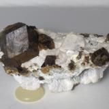 Magnetita<br />Mina Brosso, Cálea, Léssolo, Distrito Canavese, Provincia Ciudad metropolitana de Turín, Piamonte (Piemonte), Italia<br />65 x 37 mm<br /> (Autor: Sante Celiberti)