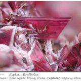 Erythrite<br />Bou Azzer Mines, Bou Azzer mining district, Ouarzazate Province, Drâa-Tafilalet Region, Morocco<br />fov 4.6 mm<br /> (Author: ploum)