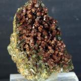 Epidota<br />Pantà d'Escales, Casterner de les Olles, Tremp, Comarca Pallars Jussà, Lérida / Lleida, Cataluña / Catalunya, España<br />5 x 3.5 cm<br /> (Autor: Pedro Antonio)