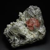 Fluorapatite, Muscovite, AlbiteChumar Bakhoor, Hunza Valley, Nagar District, Gilgit-Baltistan (Northern Areas), Pakistan11.6 x 10.4 cm (Author: am mizunaka)