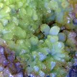 Cuprocopiapita<br />Mina Hilarion, Zona Hilarion, Minas Kamariza, Agios Konstantinos, Distrito minero Lavrion, Prefectura Attikí (Attica), Grecia<br />Campo de visión 5 mm.<br /> (Autor: Antonio P. López)