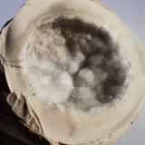 Quartz<br />Jabal Musa / Mount Sinai, South Sinai, Egypt<br />8 x 7 cm<br /> (Author: Volkmar Stingl)