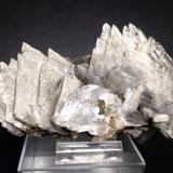 Baryte<br />Clara Mine, Rankach Valley, Oberwolfach, Wolfach, Black Forest, Baden-Württemberg, Germany<br />12 x 9,5 cm<br /> (Author: Sante Celiberti)