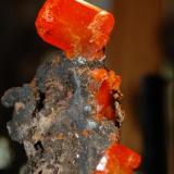 Wulfenite
Red Cloud Mine
La Paz County, Arizona (Author: Gail)