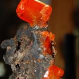 Wulfenite
Red Cloud Mine
La Paz County, Arizona (Author: Gail)