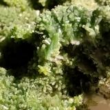 Pyromorphite<br />Crabulazzu Mine, Arbus, Medio Campidano Province, Sardinia/Sardegna, Italy<br />Close up.<br /> (Author: Firmo Espinar)