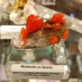 Wulfenite on Quartz
Red Gem Pocket
Red Cloud Mine, La Paz Co. Arizona (Author: Gail)