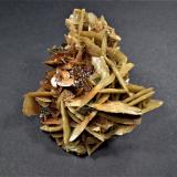 Siderite, Chalcopyrite,TetrahedriteMina Kaiwu, Hezhang, Prefectura Bijie, Provincia Guizhou, China73 mm x 65 mm (Author: Don Lum)