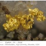 Gold<br />Manhattan, Manhattan District, Nye County, Nevada, USA<br />fov 6.7 mm<br /> (Author: ploum)