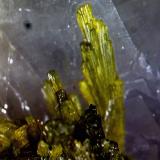 Epidota.<br />Obras del túnel de Pigot, Autovia C-25, Pla de Pigot, Arbúcies, Comarca La Selva, Massís del Montseny, Gerona / Girona, Cataluña / Catalunya, España<br />2´573 x 1´894 mm.<br /> (Autor: Jesus Franquesa Baucells)