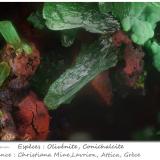 Olivenite and Conichalcitefov 5.3 mm (Author: ploum)