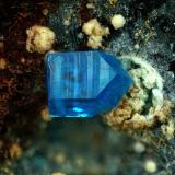 DiaboleitaMazarrón, Comarca Alto Guadalentín, Región de Murcia (Murcia), EspañaCampo de visión 1,2 mm. (Autor: Rewitzer Christian)