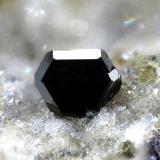 MagnetitaDe la Aljorra Quarries, Cerro de la Cabezuela (de la Aljorra Volcano), La Aljorra, Cartagena, Comarca Campo de Cartagena, Region of Murcia (Murcia), SpainCampo de visión 1 mm. (Autor: Rewitzer Christian)