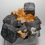 Galena, Dolomite<br />Georges vein, Sidi Ayad (Sidi Ayed), Boulemane Province, Fès-Meknès Region, Morocco<br />13 x 10 cm<br /> (Author: Sante Celiberti)